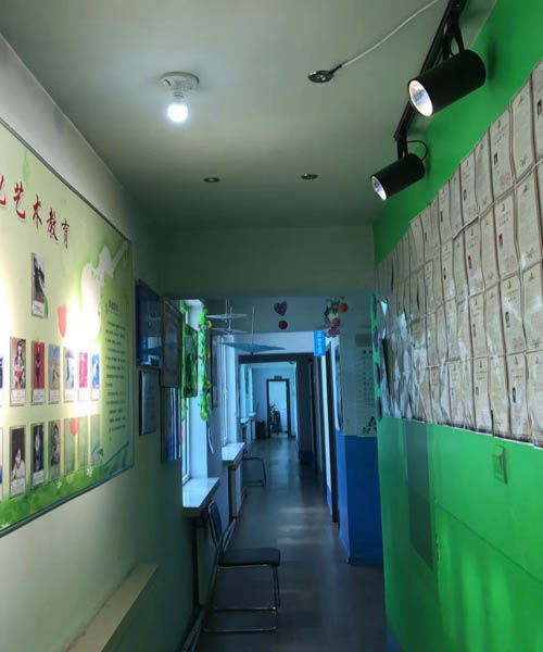 企業(yè)風采 內蒙古藝之聲教育信息咨詢的卓越之路